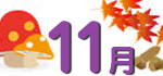 11月